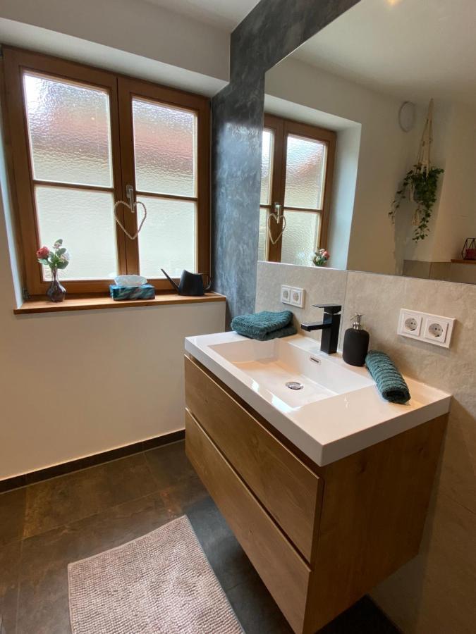 Apartment Neurenovierte Franzl