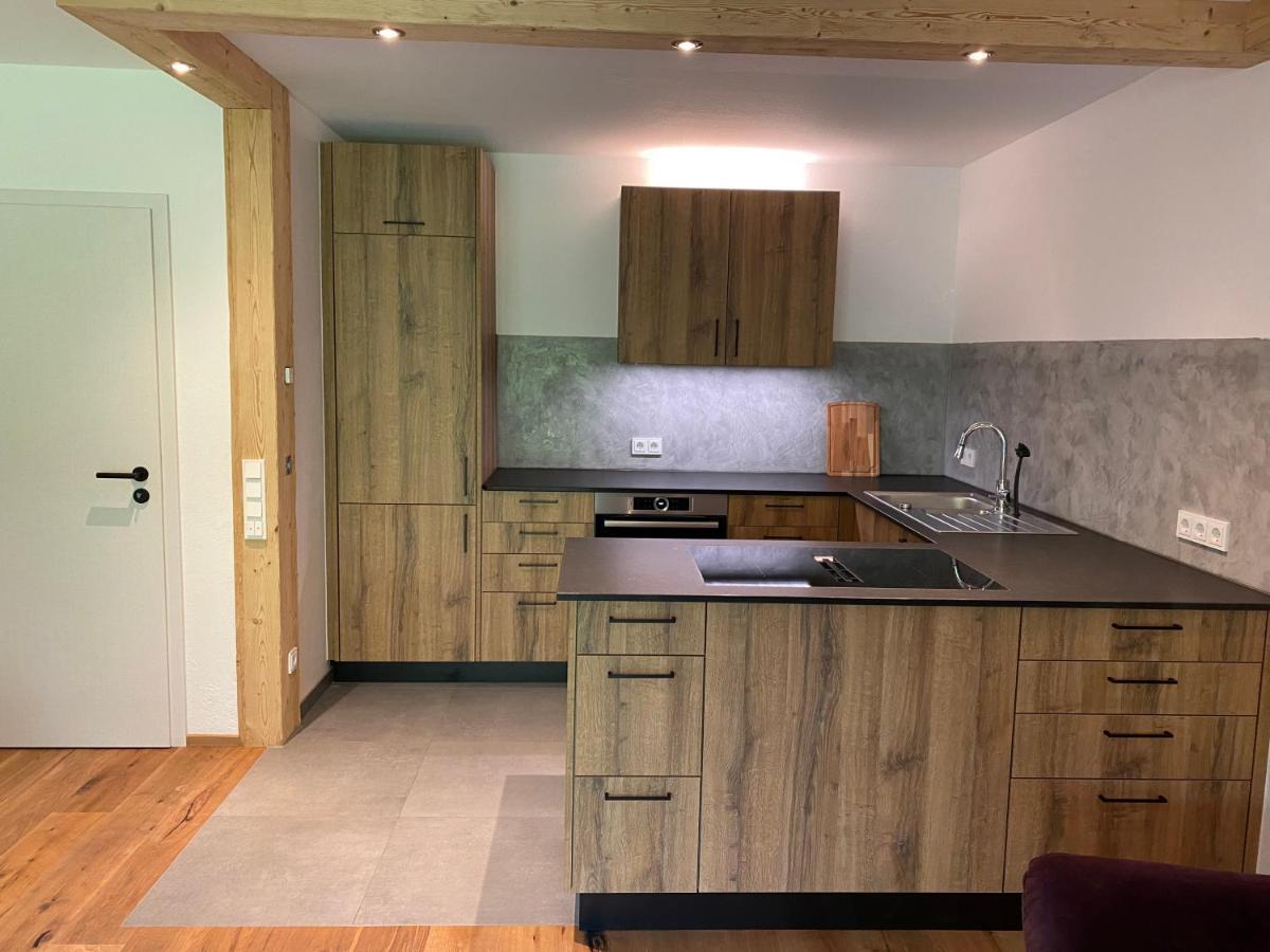 Apartment Neurenovierte Franzl *